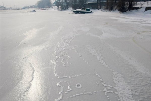 Лодки стоят изоставени в замръзналите води на река Дунав в сръбската столица Белград. Снимка: Reuters