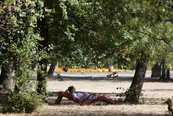 Млада жена се наслаждава на последните топли есенни дни в Западния парк в столицата. Снимка: БТА