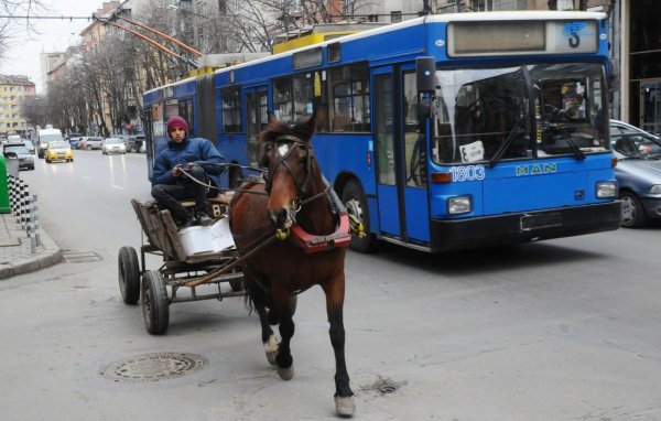 Ромска каруца с кон, движеща се в центъра на столицата пречеше на тролеите по булевард "Патриарх Евтимий".