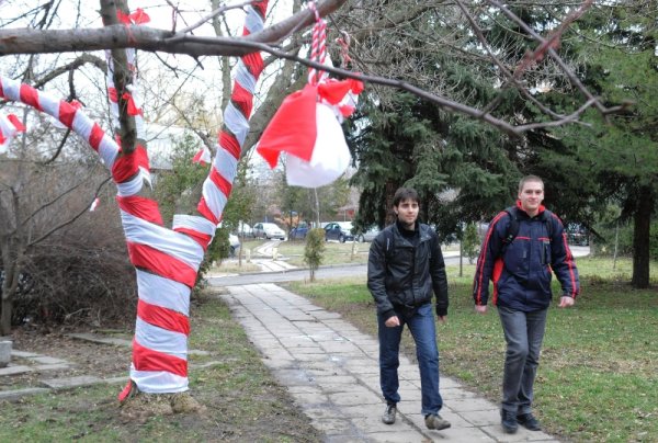 Любимата баба на всички българи - Марта, подрани в столичния Студентски град и украси дръвчета в традиционните цветове червено и бяло. Снимка: Булфото