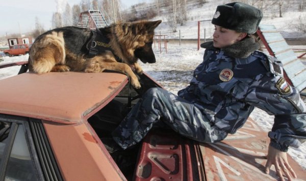 24-годишната полицайка Татяна и кучето й на тренировка в Красноярск, Русия. Снимка: Reuters