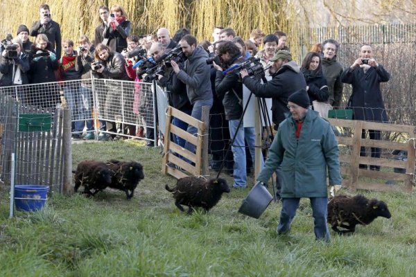 Снимка: Reuters