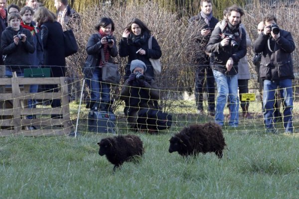 Снимка: Reuters