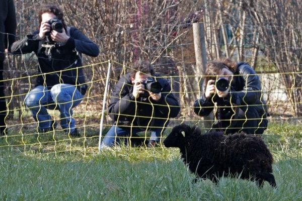 Снимка: Reuters