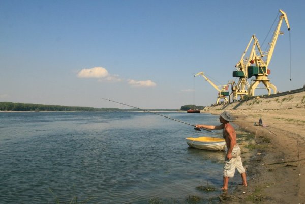 Любители на риболова от Лом хвърлят въдици в Дунав още от ранни зори. Те използват маловодието в реката, за да опитат късмета си и да се забавляват с любимото хоби. Снимка: БТА