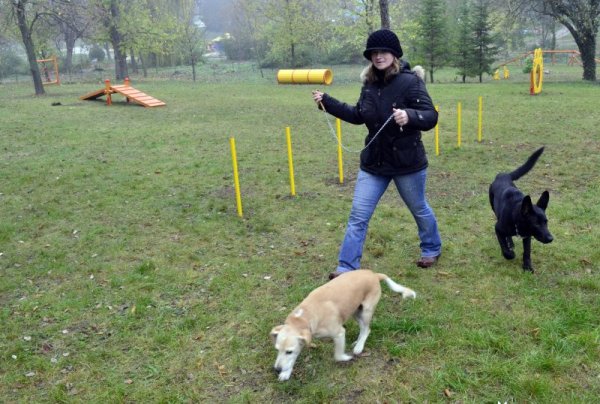 Зона за свободно разхождане и игра на кучета изгради в Градския парк &quot;Св. Георги&quot; Община Добрич. Зоната е с площ от няколко декара, оградена е и разполага със съоръжения за игра и дресировка на домашни любимци. Снимка: БТА