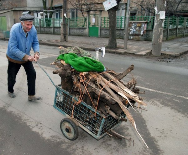 Жители на област Монтана използват топлото време в региона, за да си набавят дърва от гората и полето за останалата част от зимата и очакваното застудяване. Снимка: БТА