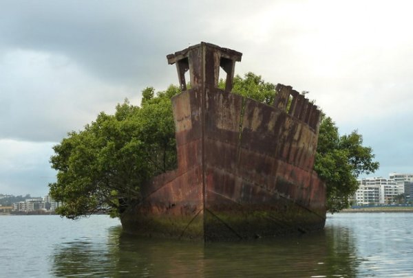 Останки от кораба SS Ayrfield в залива Хомбуш, Австралия. Този парен кораб дълги години стои забравен на брега на Олимпийското село в Сидни. Той бил построен във Великобритания през 1911 година, а през Втората световна война бил използван за превоз на боеприпаси. Снимка: AdMe.ru