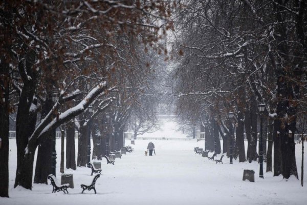 Жена разхожда кучето си сред снега в Борисовата градина. Снимка: Reuters