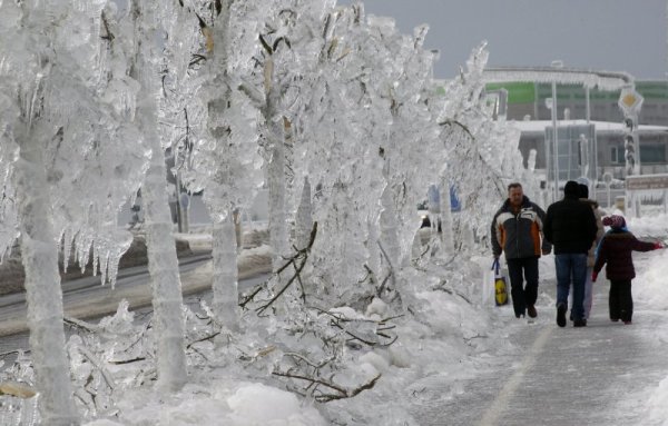 Семейство се разхожда покрай ледени дървета. Снимка: Reuters