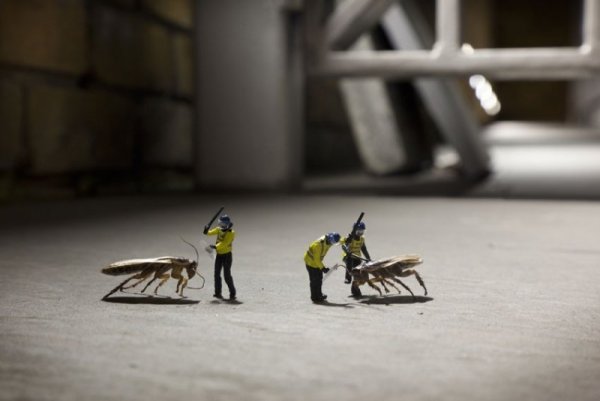 Снимка: Slinkachu