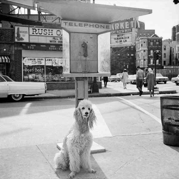 Снимка: vivianmaier.com