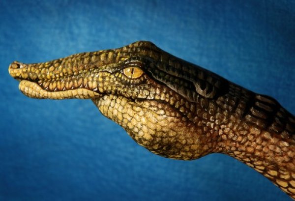 Снимка: Guido Daniele