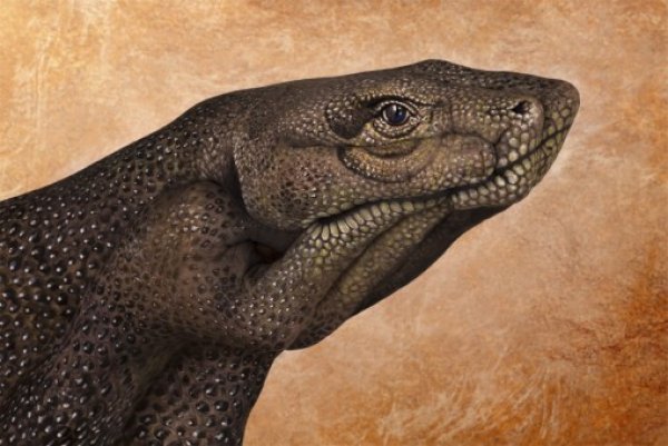 Снимка: Guido Daniele