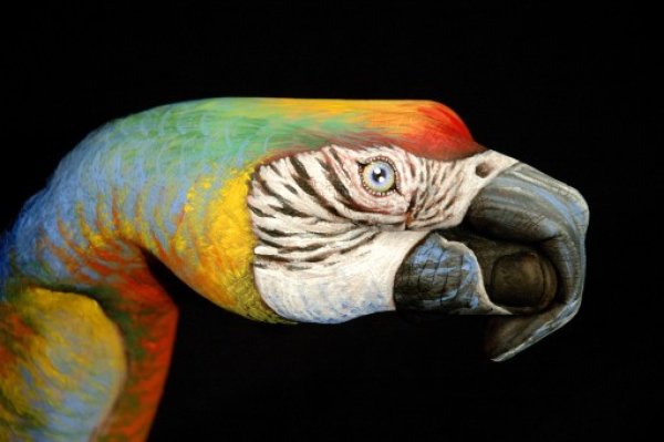 Снимка: Guido Daniele