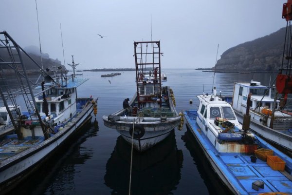 Корабчетата на местните рибари. Снимка: Reuters