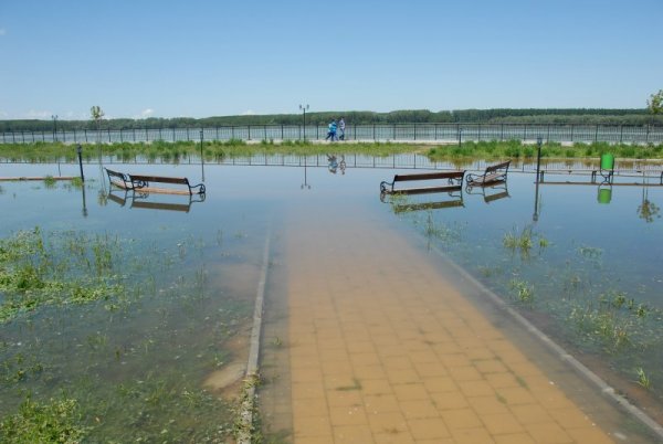 След рязкото покачване на нивото на река Дунав през последните дни големи части от дунавския парк в Лом са наводнени. Паркът се намира зад защитната дига, която издържа на напора на водата, но въпреки това подпочвени води се просмукват зад дигата и заливат ниските части от парка. Снимка: БТА