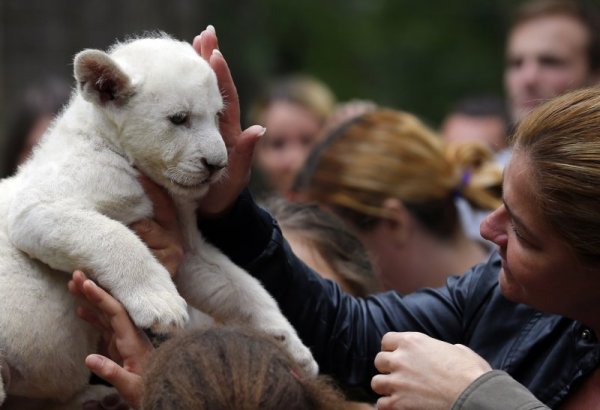 Снимка: Reuters