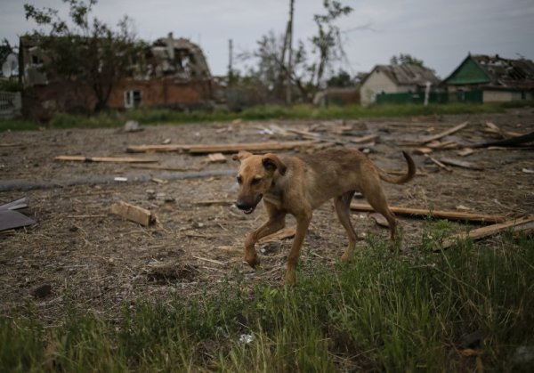 Снимка: Reuters