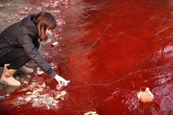 Жена взима проба от замърсена вода в провинция Хънан. Снимка: Reuters