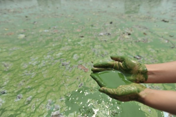 Замърсена вода в Ухан, провинция Хубей. Снимка: Reuters