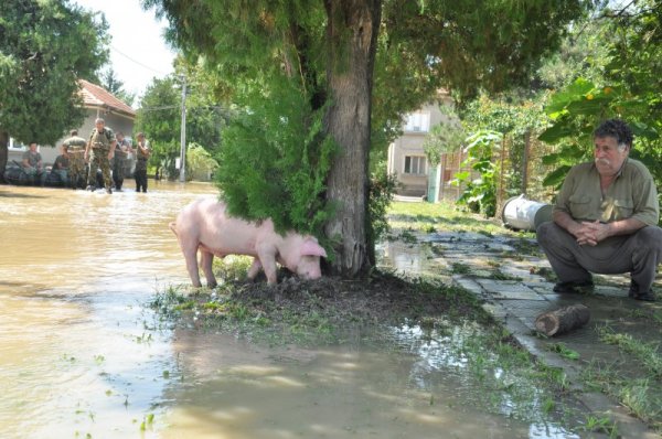 Нивото на разлива на река Скът в Мизия остава високо, но водата бавно се оттича. В момента няма бедстващи хора в наводнените квартали на града. Евакуираните са настанени в два лагера - на левия бряг на реката в града, в ж.к &quot;Лазар Драганов&quot;, и в детската градина в центъра на Мизия. От БЧК са осигурили материали от първа необходимост, както и храна и вода за хората. Снимка: БТА