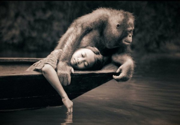 Снимка: gregorycolbert.com