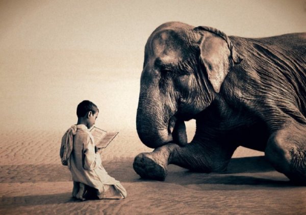 Снимка: gregorycolbert.com