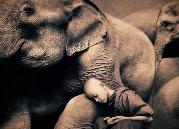 Снимка: gregorycolbert.com