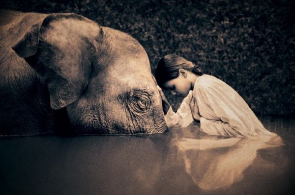 Снимка: gregorycolbert.com