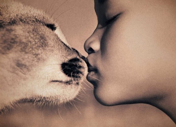 Снимка: gregorycolbert.com