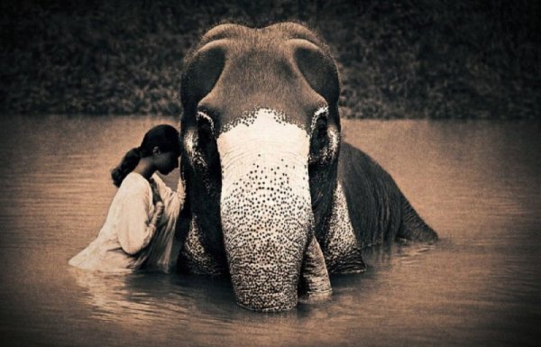 Снимка: gregorycolbert.com