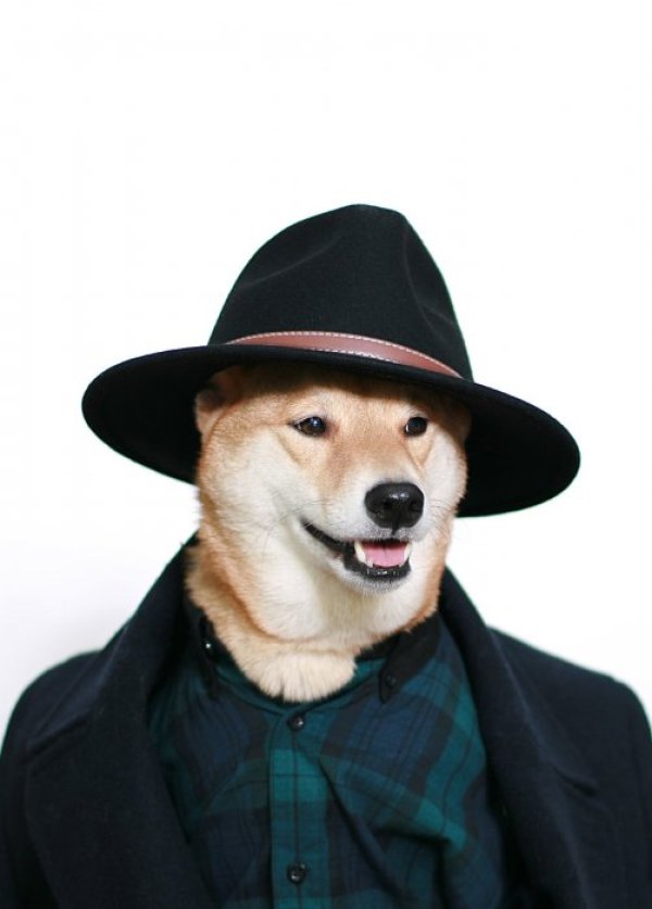 Снимка: Menswear Dog/ Tumblr