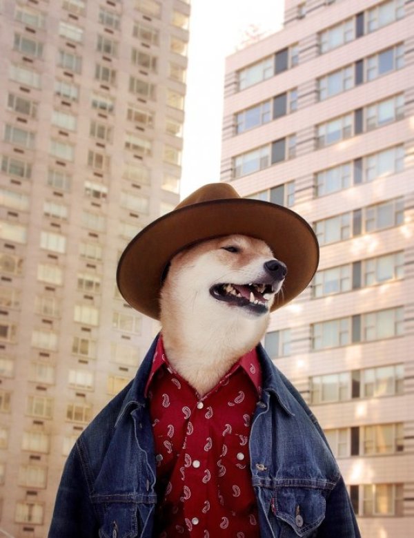 Снимка: Menswear Dog/ Tumblr