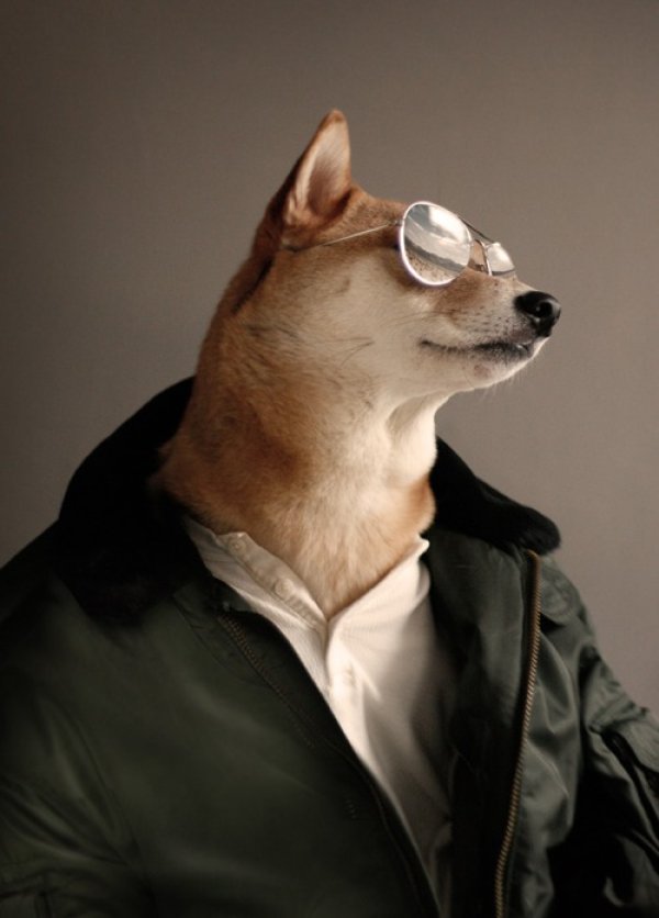 Снимка: Menswear Dog/ Tumblr