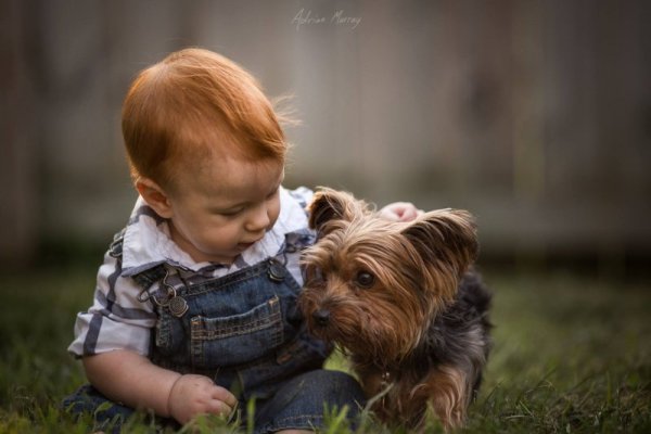 Снимка: Facebook/ Adrian Murray Photography