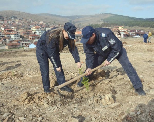 В Стара Загора започна залесяването на местността &quot;Борова гора&quot;, в която през юли тази година  бяха съборени над 50 незаконни ромски къщи. Преди години тук е имало гора, която сега ще бъде възстановена със засаждането на 3000 атласки кедъра. Снимка: БТА