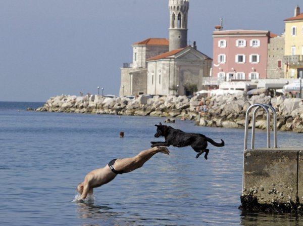 Мъж скача с кучето си във водата на Адриатическо море край словенския град Пиран. Снимка: Reuters