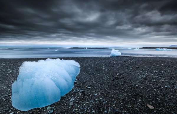 Снимка: Facebook/ Alban Henderyckx - The Wild Child