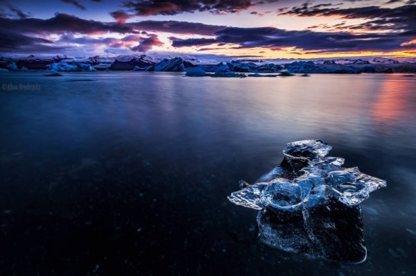 Снимка: Facebook/ Alban Henderyckx - The Wild Child