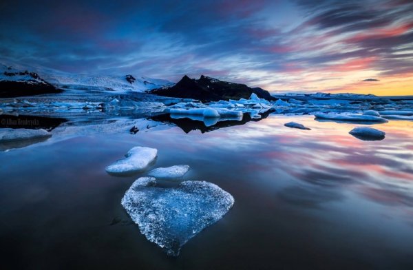 Снимка: Facebook/ Alban Henderyckx - The Wild Child