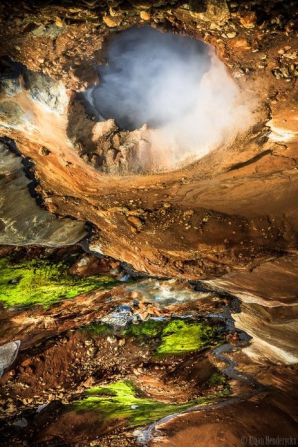 Снимка: Facebook/ Alban Henderyckx - The Wild Child