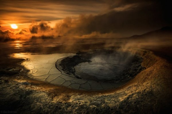 Снимка: Facebook/ Alban Henderyckx - The Wild Child