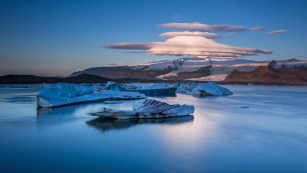 Снимка: Facebook/ Alban Henderyckx - The Wild Child