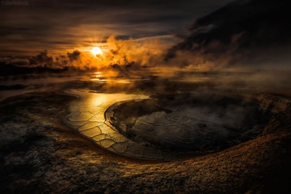 Снимка: Facebook/ Alban Henderyckx - The Wild Child