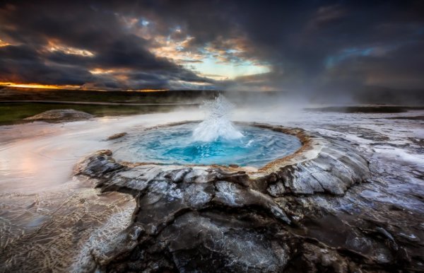 Снимка: Facebook/ Alban Henderyckx - The Wild Child