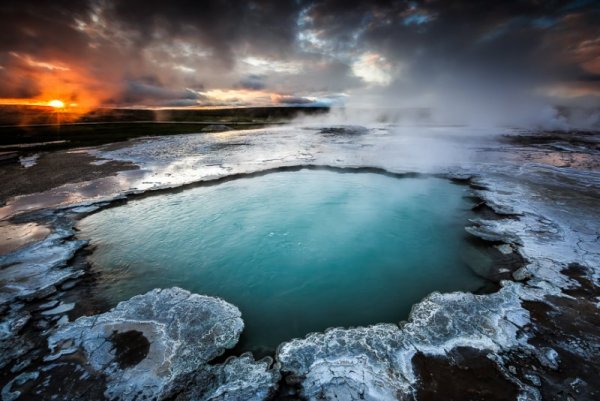 Снимка: Facebook/ Alban Henderyckx - The Wild Child