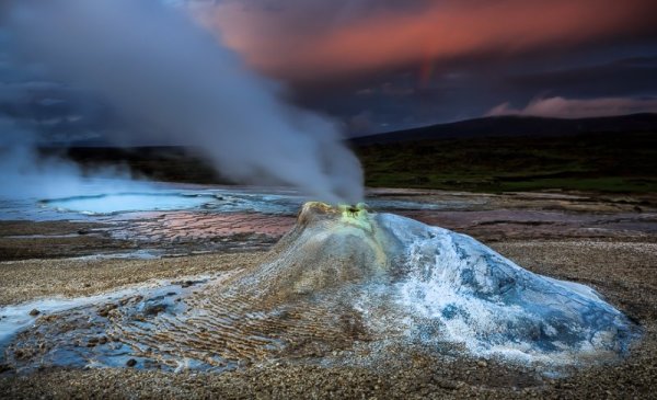 Снимка: Facebook/ Alban Henderyckx - The Wild Child