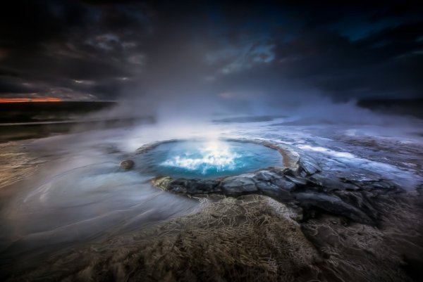 Снимка: Facebook/ Alban Henderyckx - The Wild Child