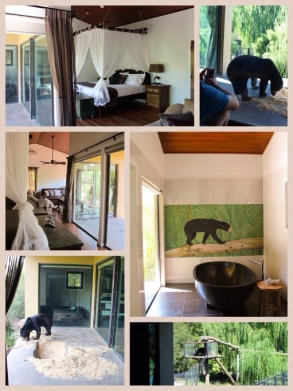 Снимка: Jamala Wildlife Lodge